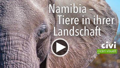 Namibia Tiere